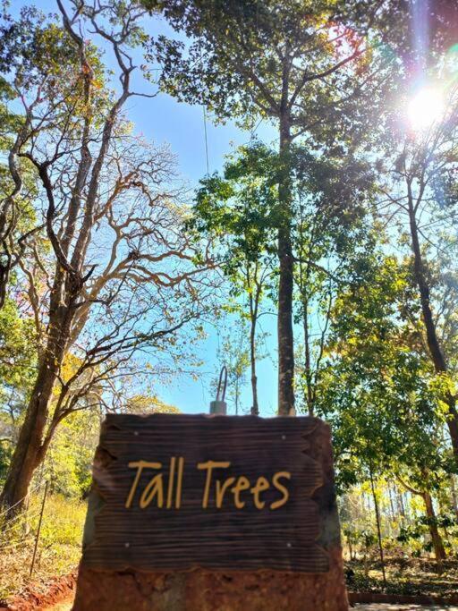 Tall Trees - Modern Forest Villa In Wayanad Sultan Bathery Ngoại thất bức ảnh