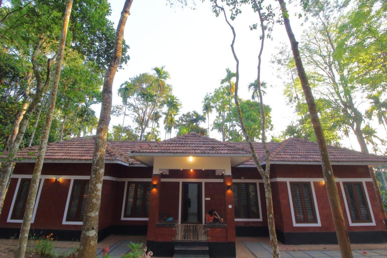 Tall Trees - Modern Forest Villa In Wayanad Sultan Bathery Ngoại thất bức ảnh