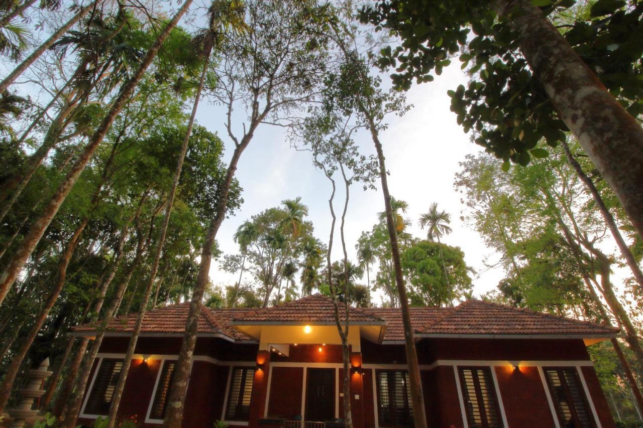 Tall Trees - Modern Forest Villa In Wayanad Sultan Bathery Ngoại thất bức ảnh