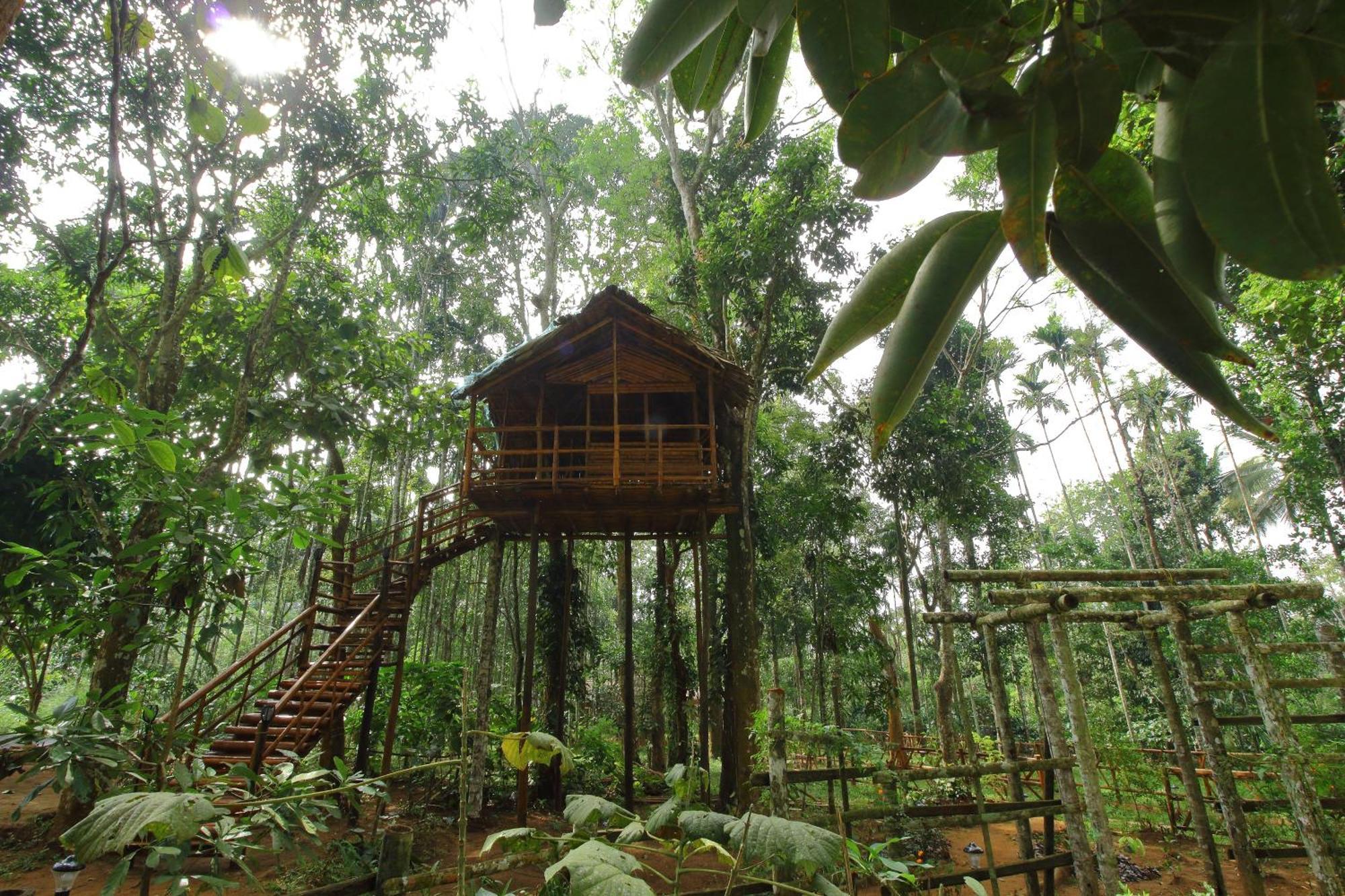 Tall Trees - Modern Forest Villa In Wayanad Sultan Bathery Ngoại thất bức ảnh