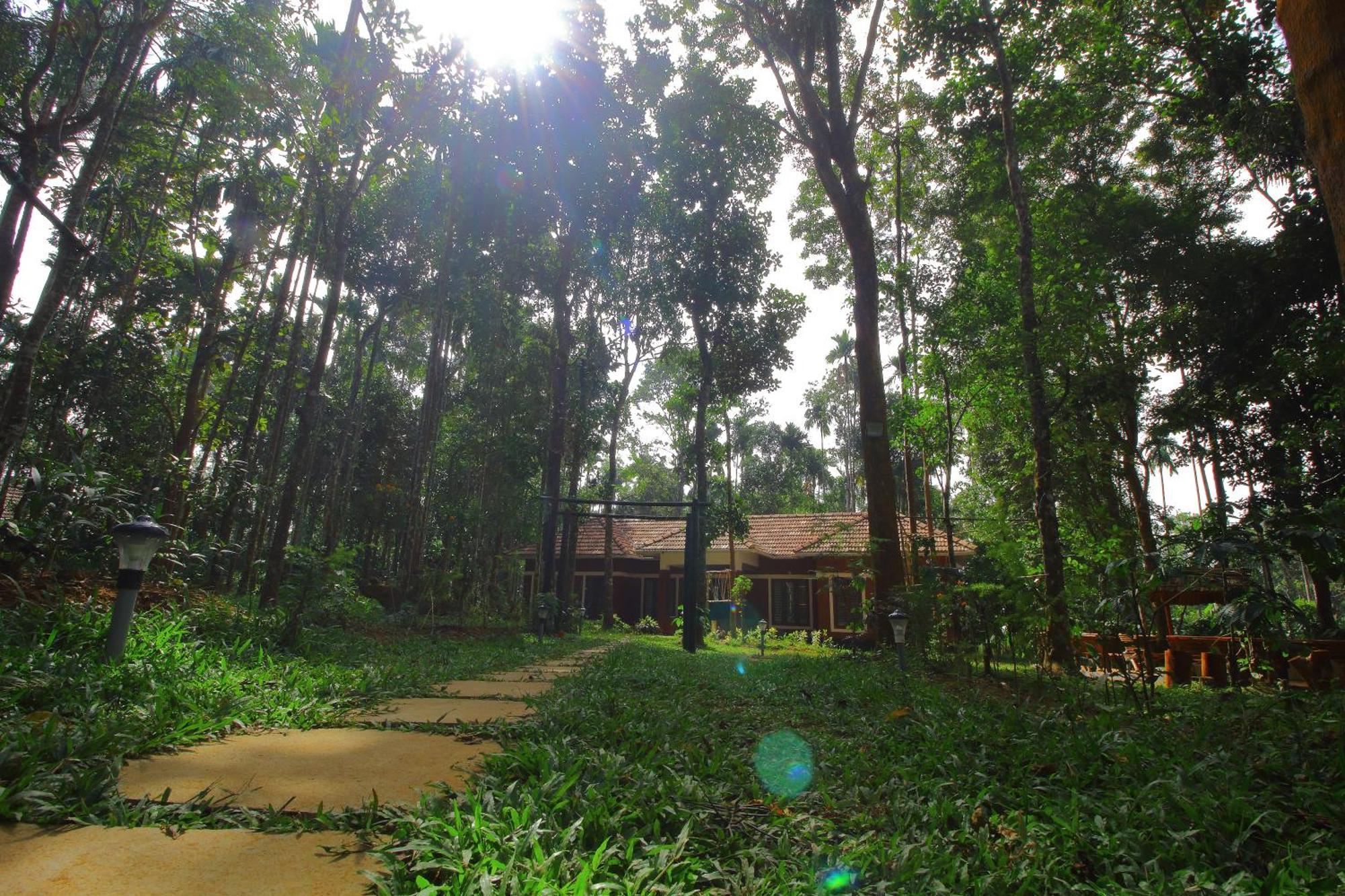 Tall Trees - Modern Forest Villa In Wayanad Sultan Bathery Ngoại thất bức ảnh